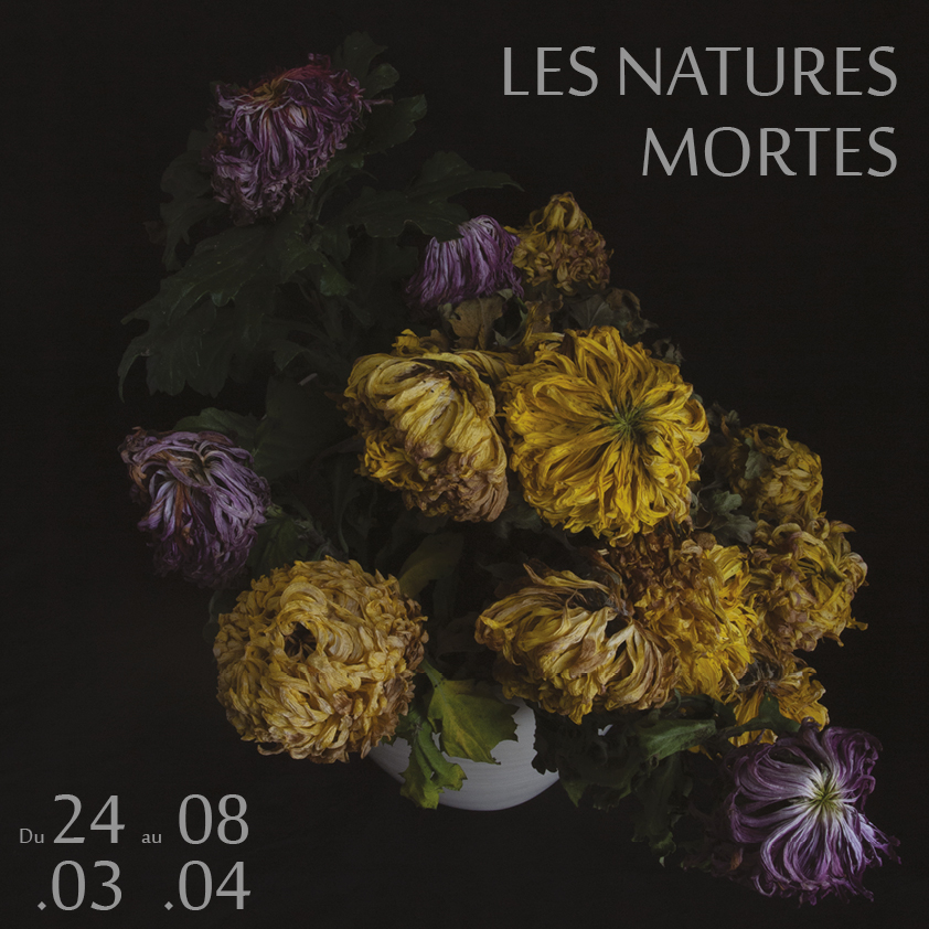 exposition