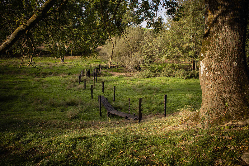 association polyculture