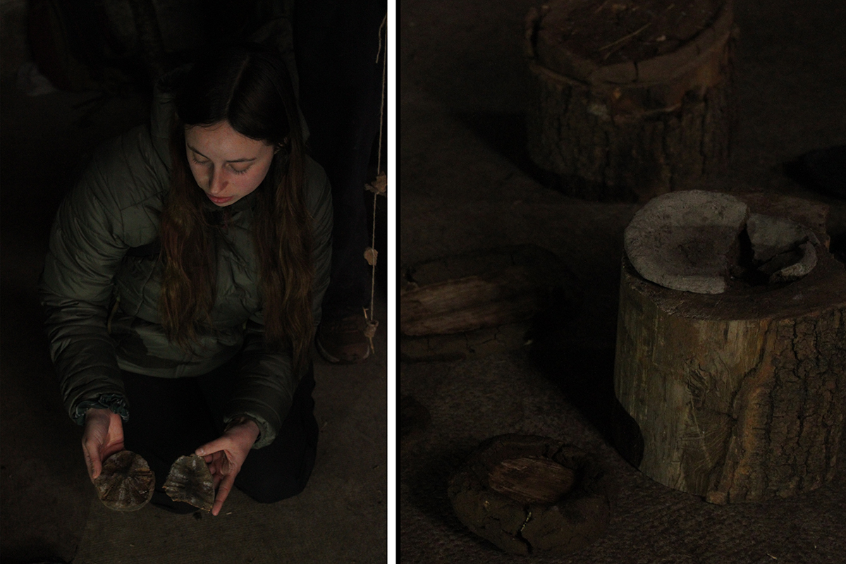 workshop foret saoule