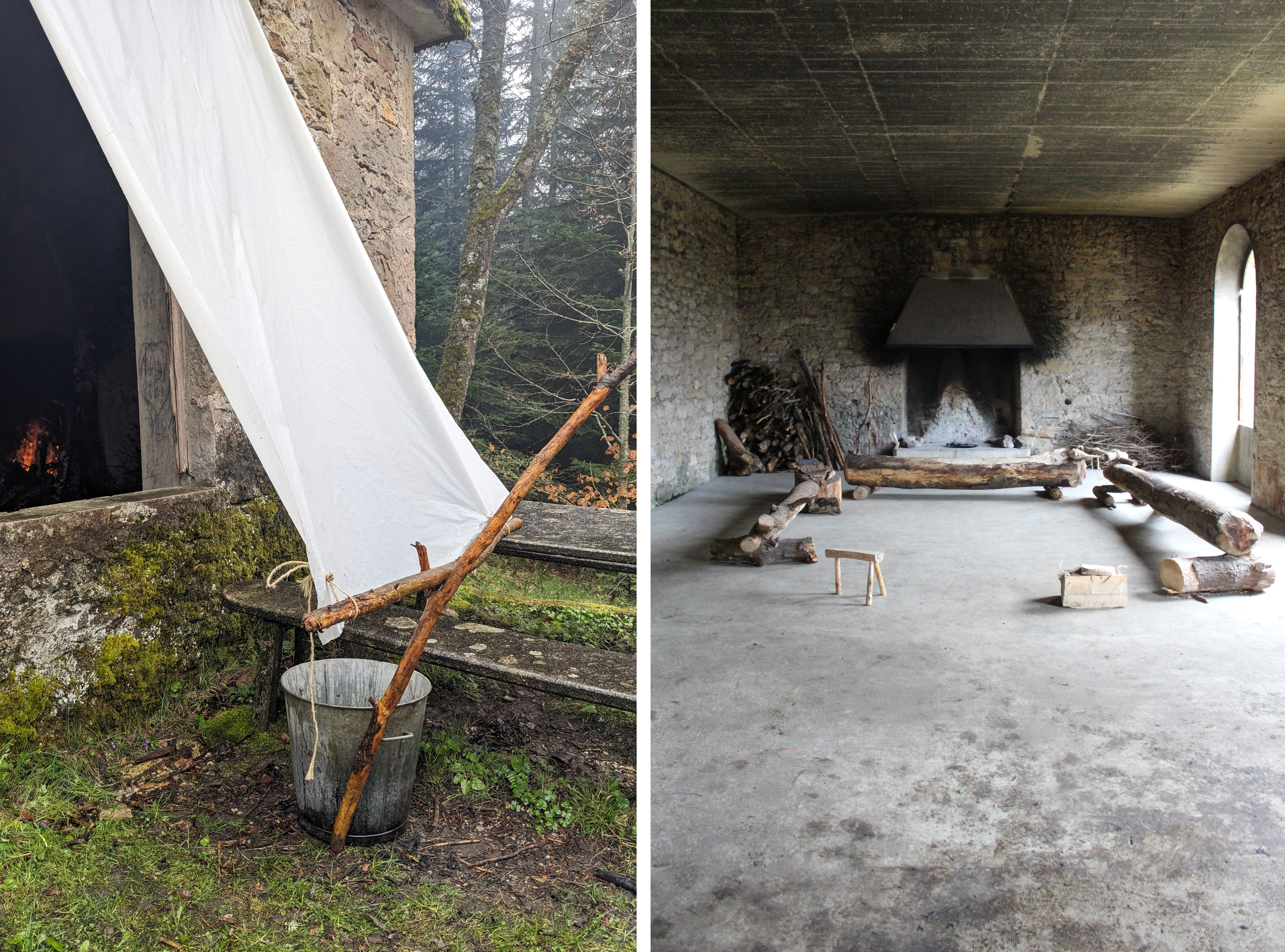 abri foret abri foret